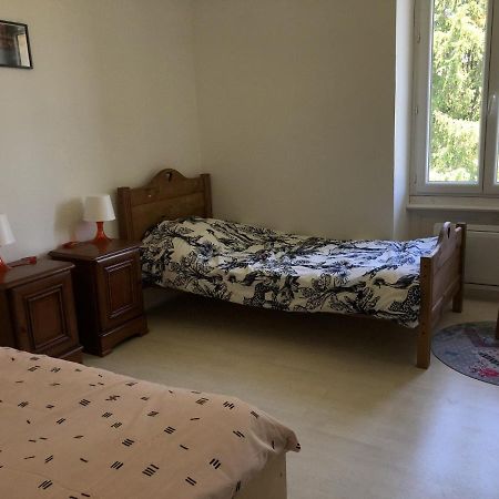 Chambres Individuelles Avec Partie Commune Ou Logement Entier Si Disponible Via Rhona Vulbens Dış mekan fotoğraf